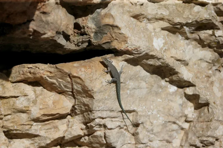 TAJNA PODZEMNIH TUNELA: U&scaron;li su u Titove &scaron;pilje i vojne tunele, evo &scaron;to su snimili