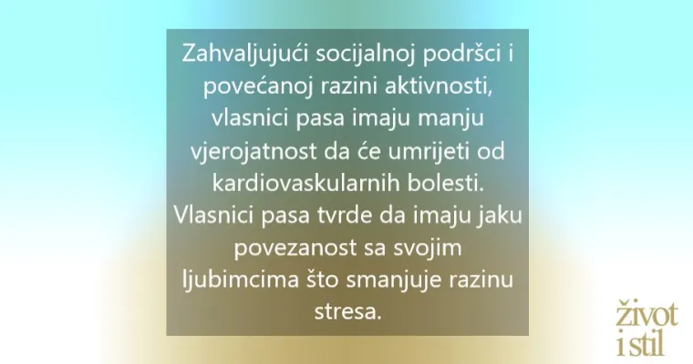Znanstvenici dokazali da su vlasnici pasa sretniji od ostatka svijeta