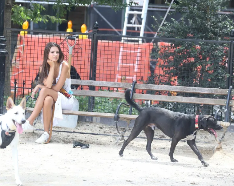 ZAVODLJIVA ČAK I U &Scaron;ETNJI S PSOM: Emily Ratajkowski u uskoj haljini s dekolteom plijenila pozornost