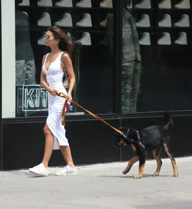 ZAVODLJIVA ČAK I U &Scaron;ETNJI S PSOM: Emily Ratajkowski u uskoj haljini s dekolteom plijenila pozornost