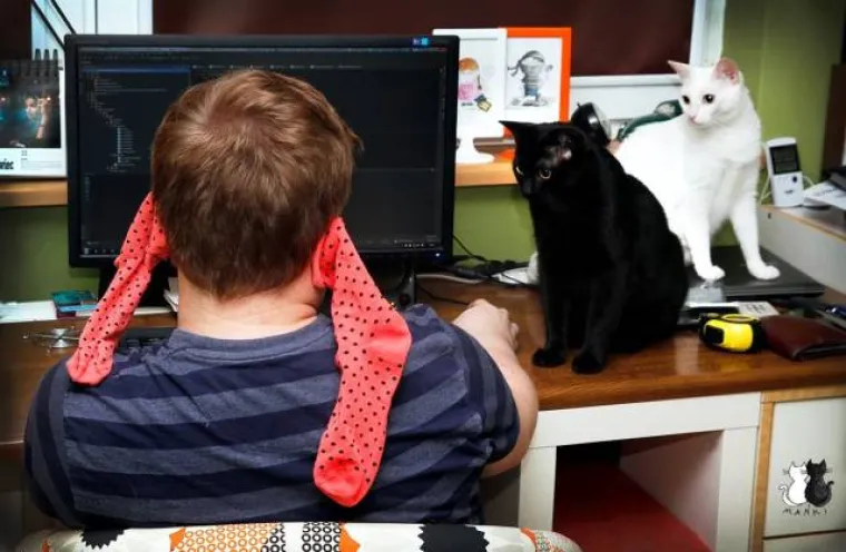 Prizori koje smo okupili u galeriji stvarno je teško opisati, a još teže objasniti. O motivima glavnih junaka bolje da niti ne spekuliramo jer bismo mogli završiti na nekom jako tamnom mjestu. Ako ste dovoljno odvažni i želite se upustiti u objašnjavanje, svakako bacite oko na galeriju.