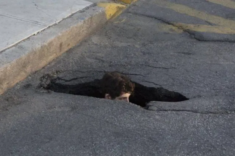 SAMO NAJMRAČNIJI UMOVI MOGU OBJASNITI OVE PRIZORE: Ako ste dovoljno odvažni, možete pokušati i vi