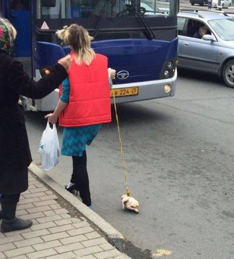 SAMO NAJMRAČNIJI UMOVI MOGU OBJASNITI OVE PRIZORE: Ako ste dovoljno odvažni, možete poku&scaron;ati i vi