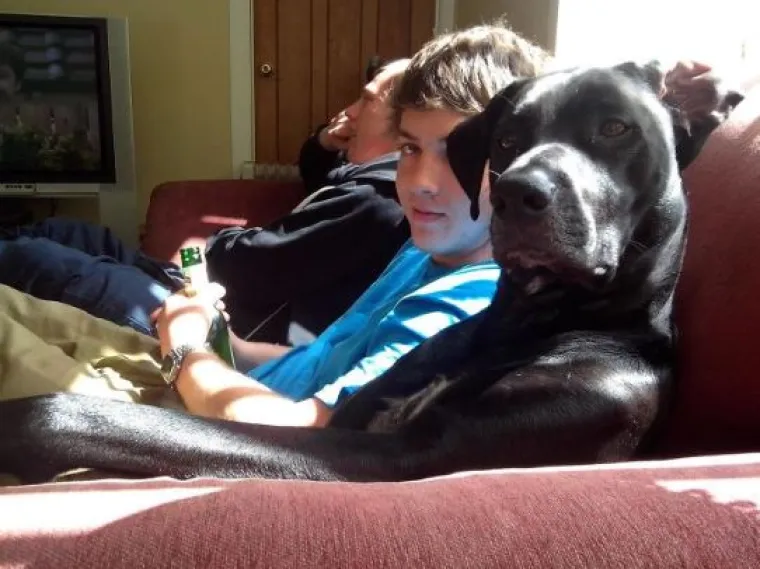 Sve samo ne psi: Preslatke &scaron;apice imitiraju vlasnike, fotke su urnebesne