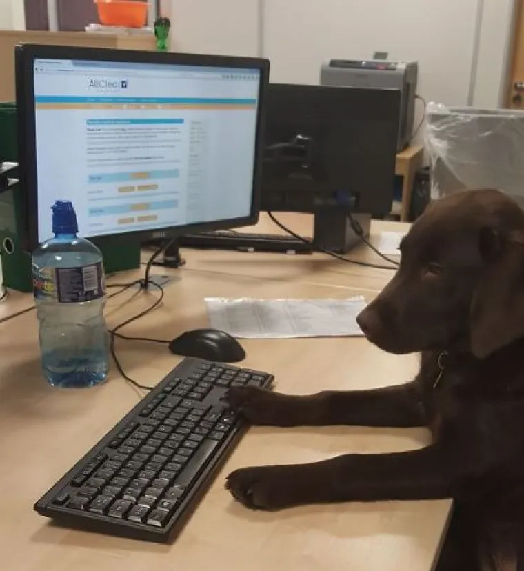 Sve samo ne psi: Preslatke &scaron;apice imitiraju vlasnike, fotke su urnebesne