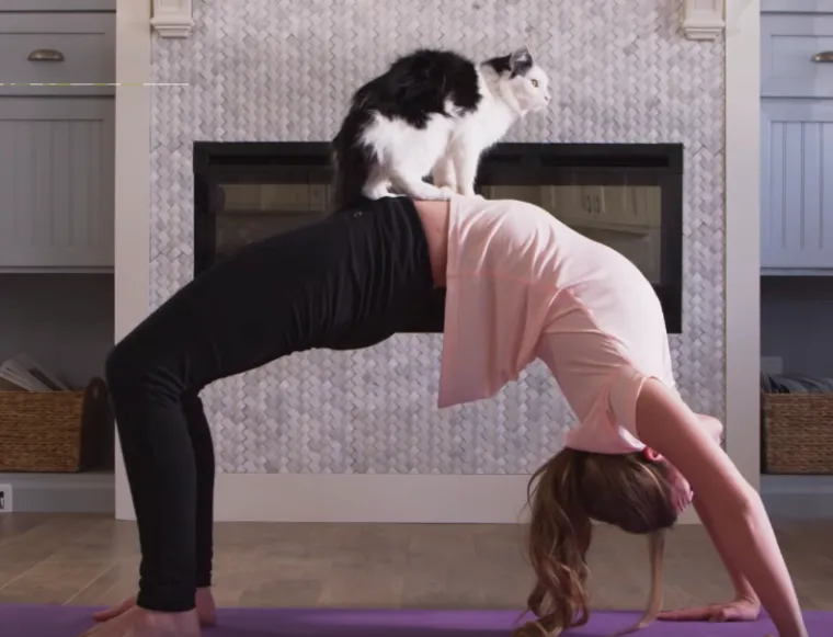 Tko tu pije, a tko plaća?: 25 slika ljubimaca koji su nakratko zaboravili tko je gazda