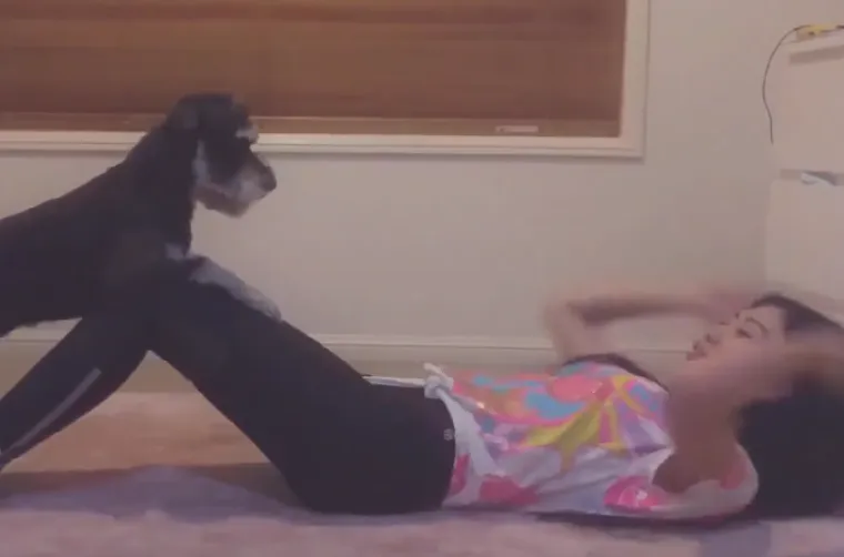 Tko tu pije, a tko plaća?: 25 slika ljubimaca koji su nakratko zaboravili tko je gazda