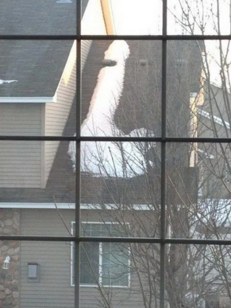 JESTE LI ČISTUNCI ILI PERVERZNJACI? Fotografije koje će testirati snagu va&scaron;e volje, ali vjerojatno nećete uspjeti pobijediti