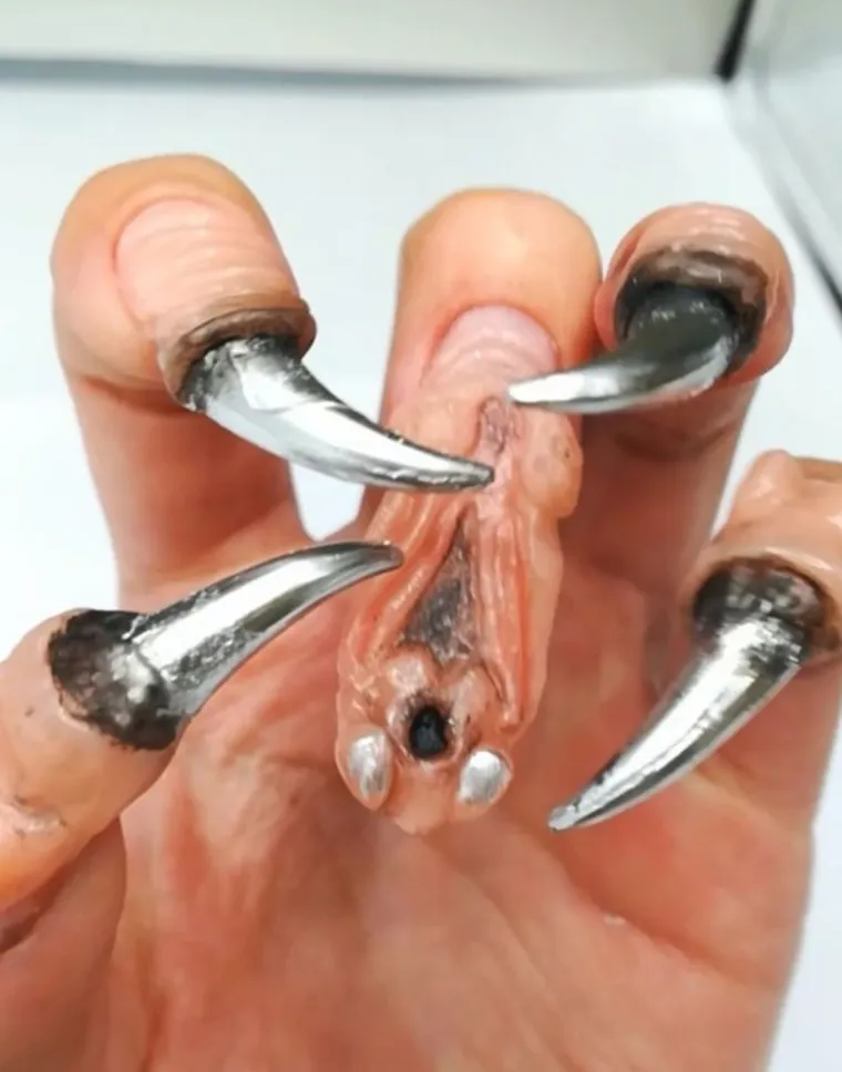 Ribež, kukci, zubi... zajednička riječ - NOKTI?!: 20 slika noktića kakve ne možete napraviti u običnom salonu