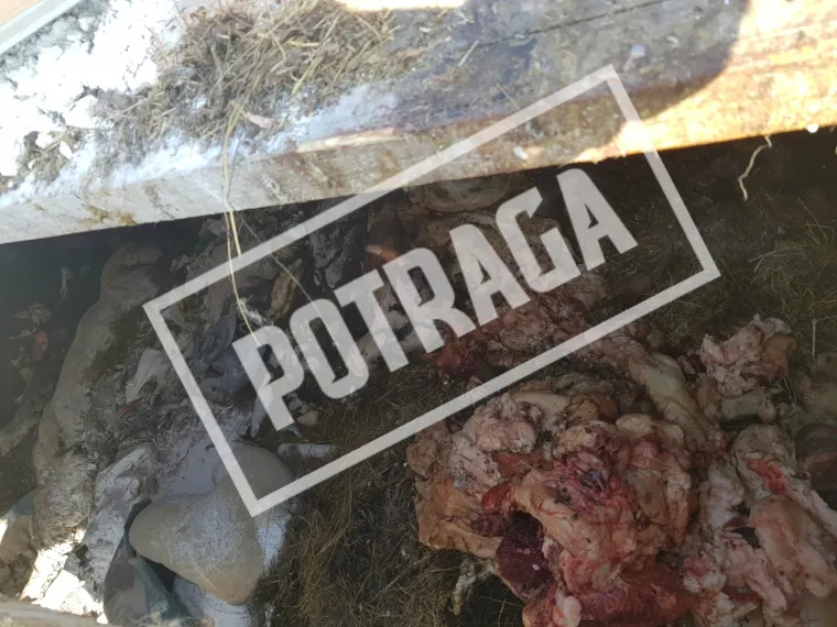 Uznemirujući sadržaj! Ilegalna klaonica kod Knina: Raspadnuti le&scaron;evi, smrad i prljav&scaron;tina