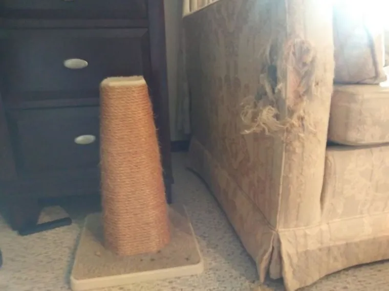 Svemir se urotio protiv nas ili je to samo BAD LUCK?: 20 slika koje će vas sigurno izbacit iz takta