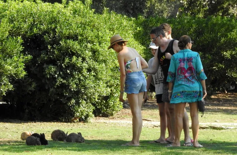 Dok su se vraćali s plaže, glumac i TV voditelj te biv&scaron;a manekenka s djecom su zastali poigrati se sa zečevima.