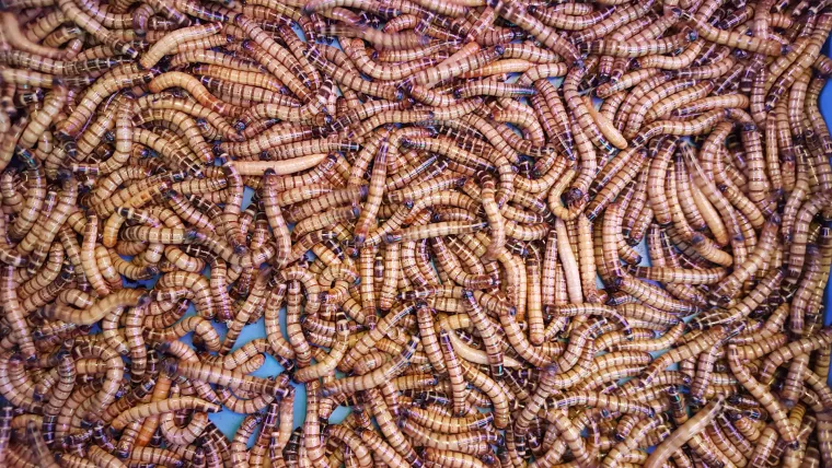 Budućnost izgleda jako zastra&scaron;ujuće: Ovih osam stvari zauvijek bi moglo promijeniti svijet