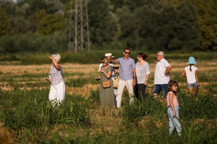 Slavonska žitna polja postala umjetnička galerija! Ovako ne&scaron;to ne viđa se često