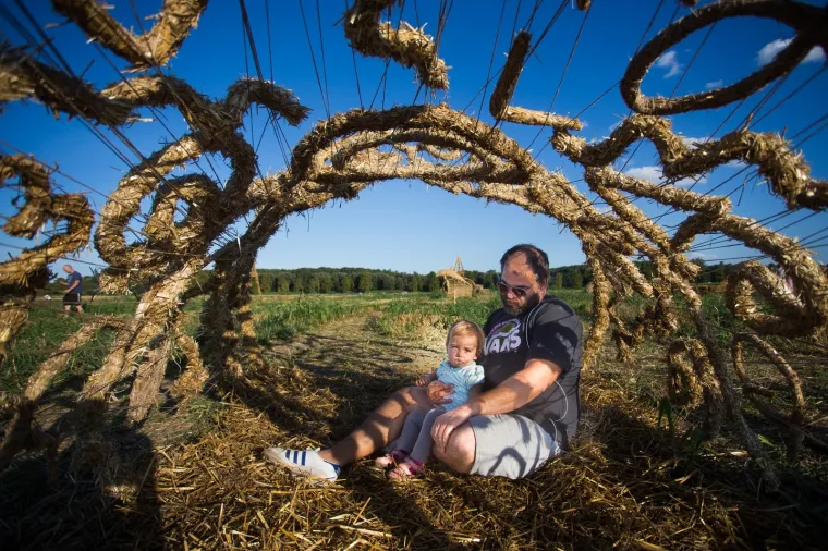 Slavonska žitna polja postala umjetnička galerija! Ovako ne&scaron;to ne viđa se često