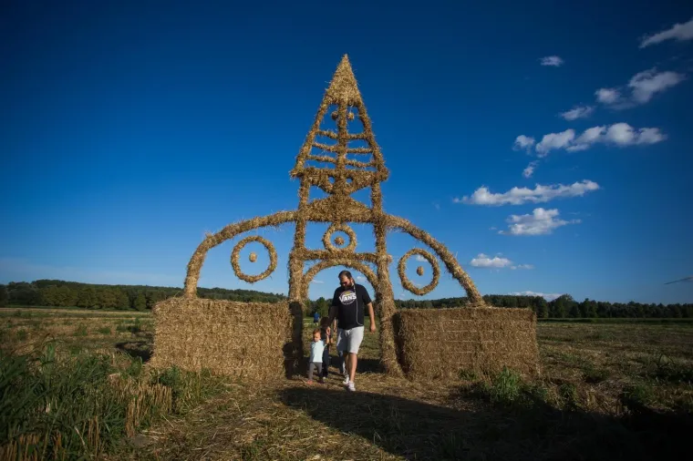 Slavonska žitna polja postala umjetnička galerija! Ovako ne&scaron;to ne viđa se često