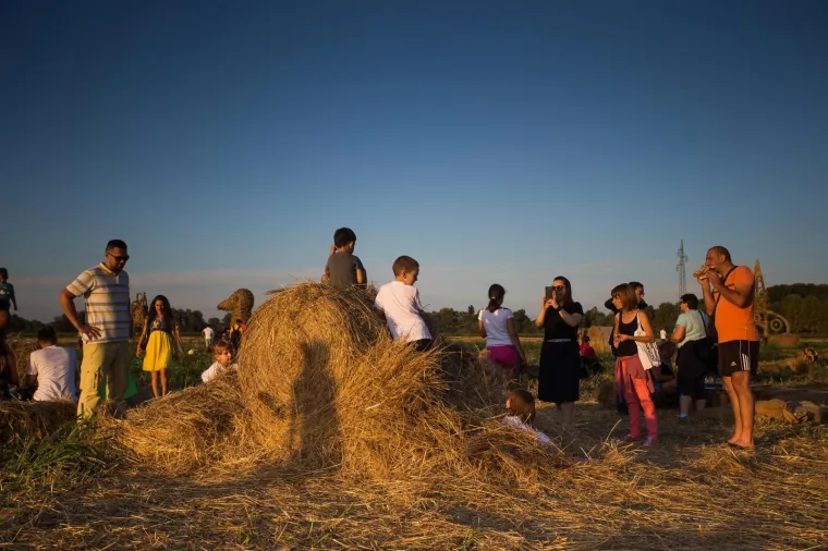 Slavonska žitna polja postala umjetnička galerija! Ovako ne&scaron;to ne viđa se često