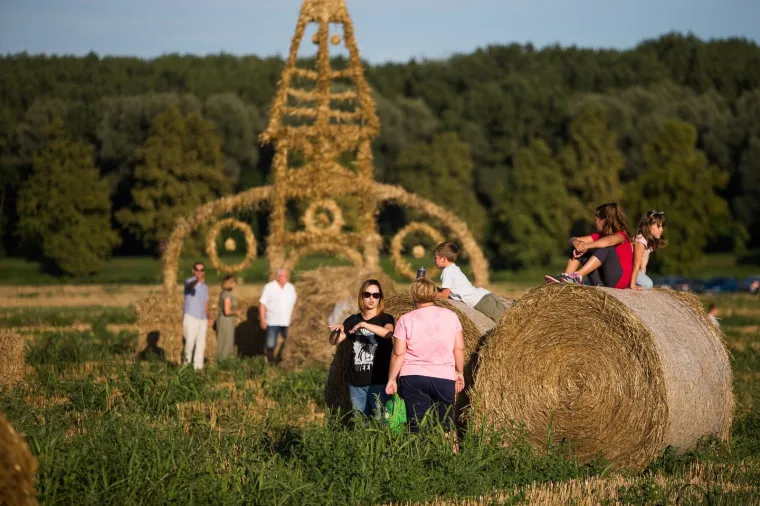 Slavonska žitna polja postala umjetnička galerija! Ovako ne&scaron;to ne viđa se često