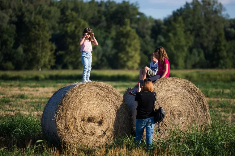 Slavonska žitna polja postala umjetnička galerija! Ovako ne&scaron;to ne viđa se često