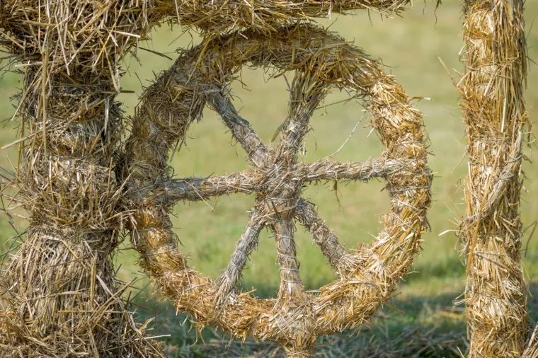 Slavonska žitna polja postala umjetnička galerija! Ovako ne&scaron;to ne viđa se često