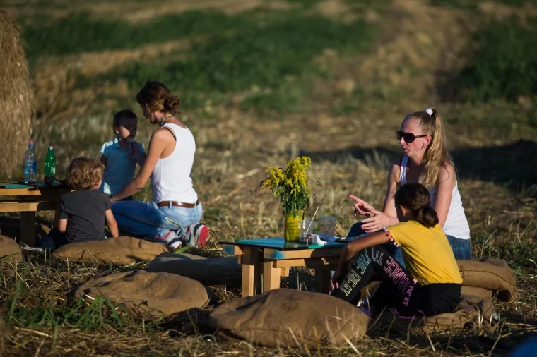 Slavonska žitna polja postala umjetnička galerija! Ovako ne&scaron;to ne viđa se često