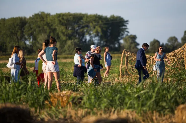 Slavonska žitna polja postala umjetnička galerija! Ovako ne&scaron;to ne viđa se često