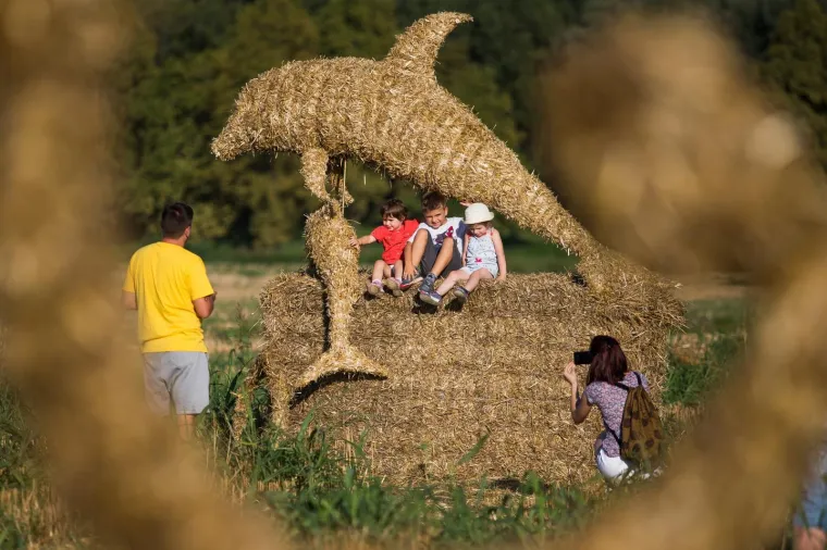 Slavonska žitna polja postala umjetnička galerija! Ovako ne&scaron;to ne viđa se često