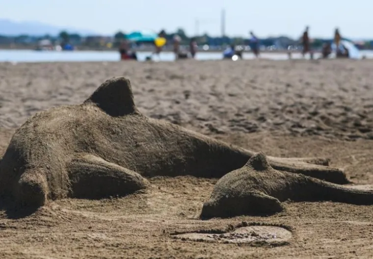 Festival pijeska u Ninu donio je prava remek-djela koja morate vidjeti
