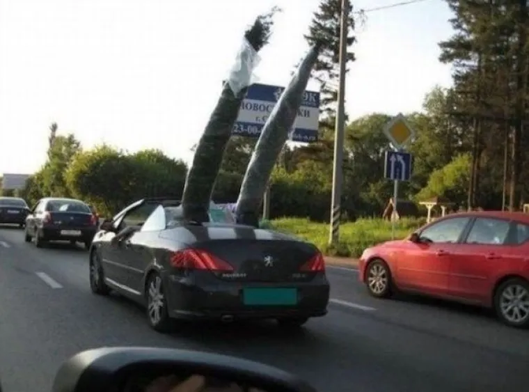 Ovih 15 fotografija morate pogledati dvaput da biste shvatili &scaron;to se na njima događa