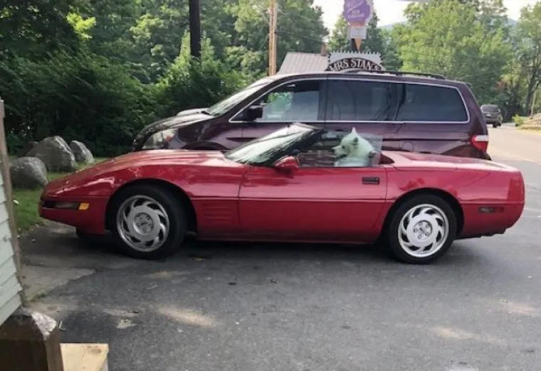 Ovih 15 fotografija morate pogledati dvaput da biste shvatili &scaron;to se na njima događa