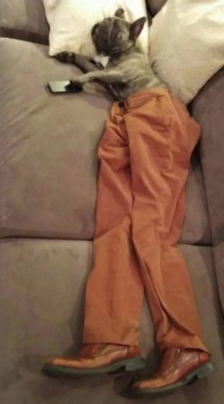 Ovih 15 fotografija morate pogledati dvaput da biste shvatili &scaron;to se na njima događa