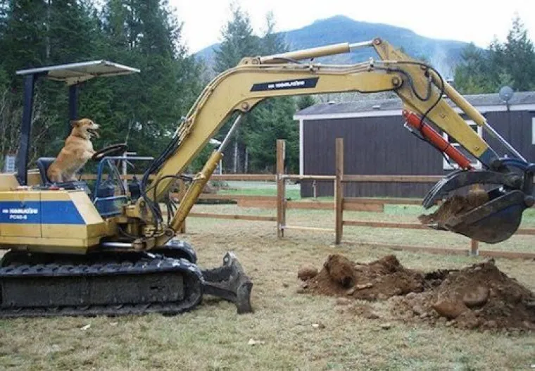 Ovih 15 fotografija morate pogledati dvaput da biste shvatili &scaron;to se na njima događa