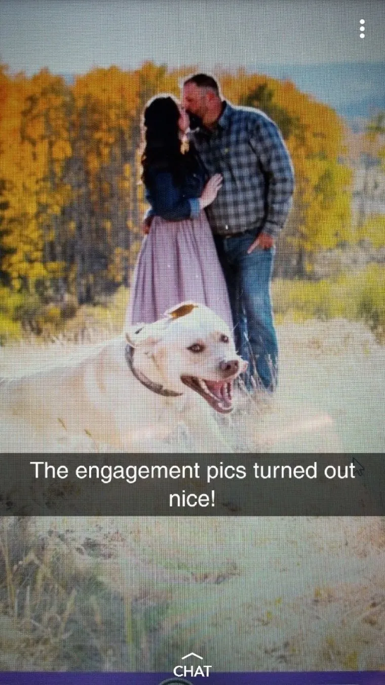 HTIO SI GENIJALNU FOTOGRAFIJU? E, NE MOŽE! Uletjeli su im u kadar, uništili fotku, a nas nasmijali do suza