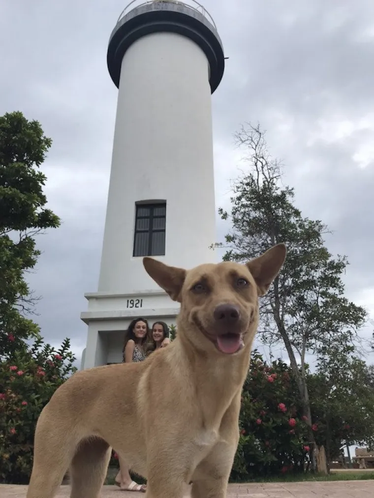 HTIO SI GENIJALNU FOTOGRAFIJU? E, NE MOŽE! Uletjeli su im u kadar, uništili fotku, a nas nasmijali do suza