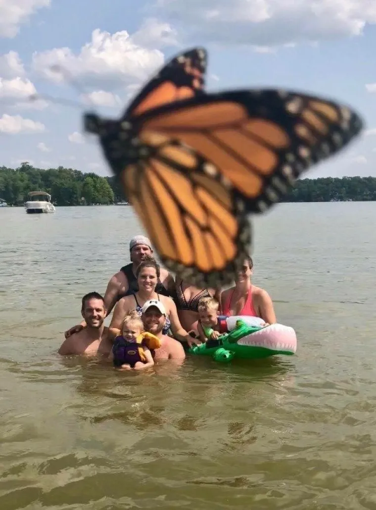 HTIO SI GENIJALNU FOTOGRAFIJU? E, NE MOŽE! Uletjeli su im u kadar, uništili fotku, a nas nasmijali do suza