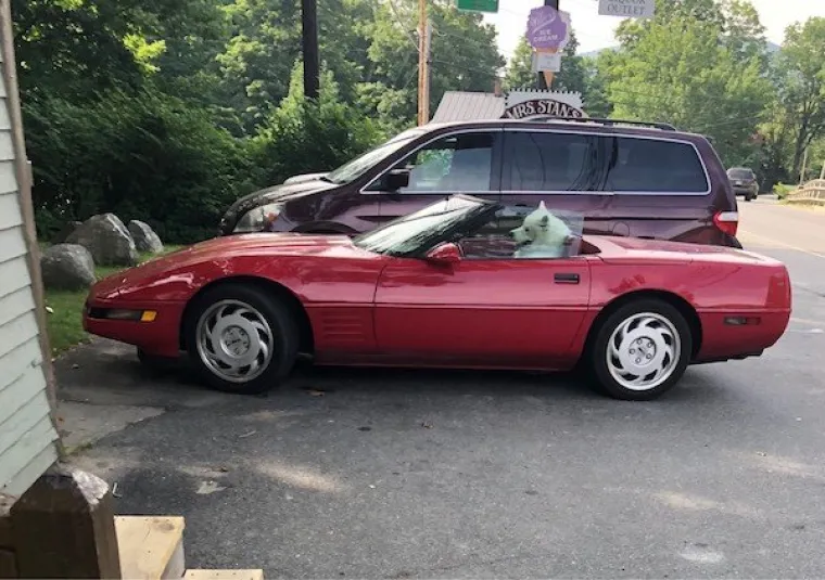 OVAKVE LUDOSTI SE NE VIĐAJU! Njihov najgori dan zavr&scaron;io je u suzama; i vi ćete plakati, ali od smijeha