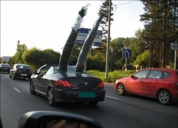 OVAKVE LUDOSTI SE NE VIĐAJU! Njihov najgori dan zavr&scaron;io je u suzama; i vi ćete plakati, ali od smijeha