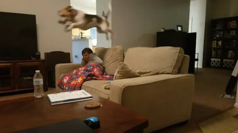 OVAKVE LUDOSTI SE NE VIĐAJU! Njihov najgori dan zavr&scaron;io je u suzama; i vi ćete plakati, ali od smijeha