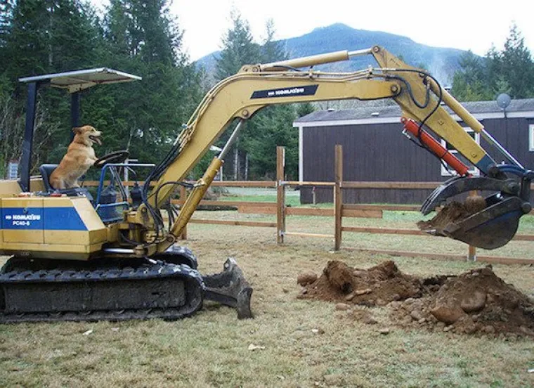 OVAKVE LUDOSTI SE NE VIĐAJU! Njihov najgori dan zavr&scaron;io je u suzama; i vi ćete plakati, ali od smijeha