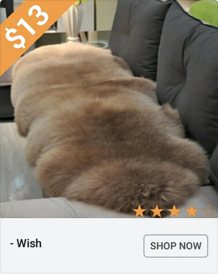 Može li nam itko de&scaron;ifrirati &scaron;to su ovi proizvodi sa stranice Wish.com?