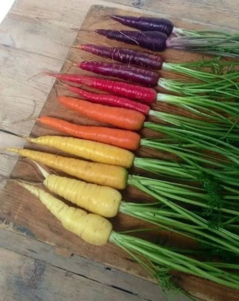 Hrana je savr&scaron;enstvo, savr&scaron;enstvo je hrana: Probajte ne sliniti nad ovim delicijama!