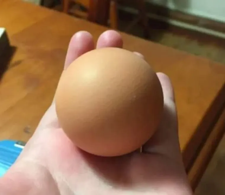 Hrana je savr&scaron;enstvo, savr&scaron;enstvo je hrana: Probajte ne sliniti nad ovim delicijama!