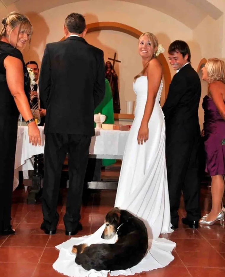 Photobomb = užas, photobomb na slici vjenčanja = kriminal: 25 ˝savr&scaron;enih˝ slika s vjenčanja