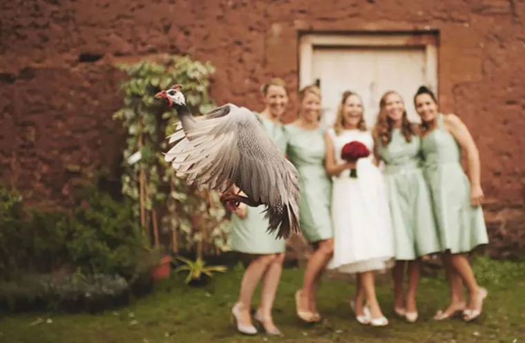 Photobomb = užas, photobomb na slici vjenčanja = kriminal: 25 ˝savr&scaron;enih˝ slika s vjenčanja