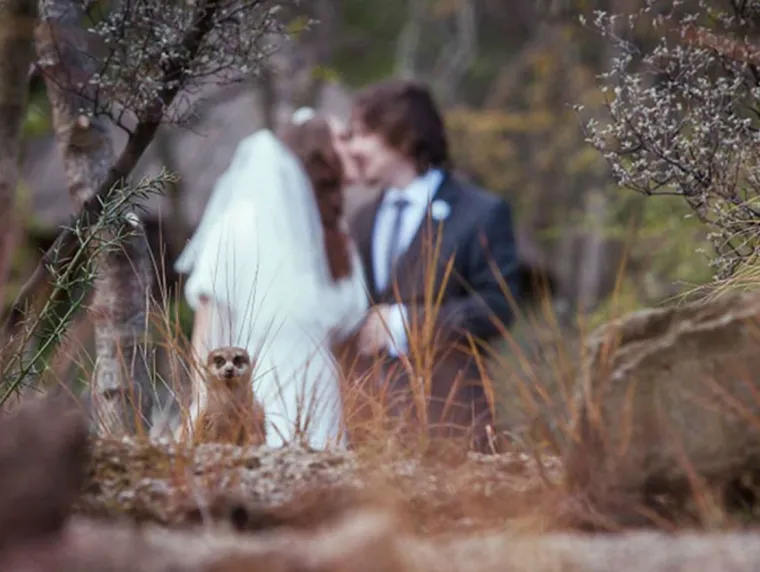 Photobomb = užas, photobomb na slici vjenčanja = kriminal: 25 ˝savr&scaron;enih˝ slika s vjenčanja
