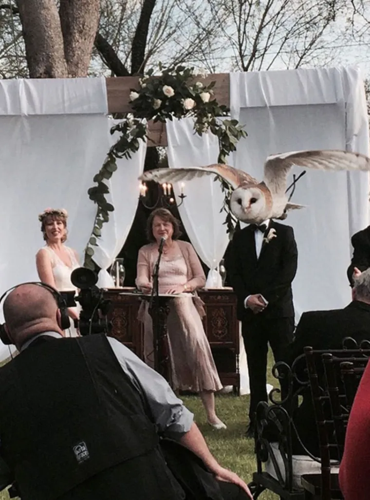 Photobomb = užas, photobomb na slici vjenčanja = kriminal: 25 ˝savr&scaron;enih˝ slika s vjenčanja