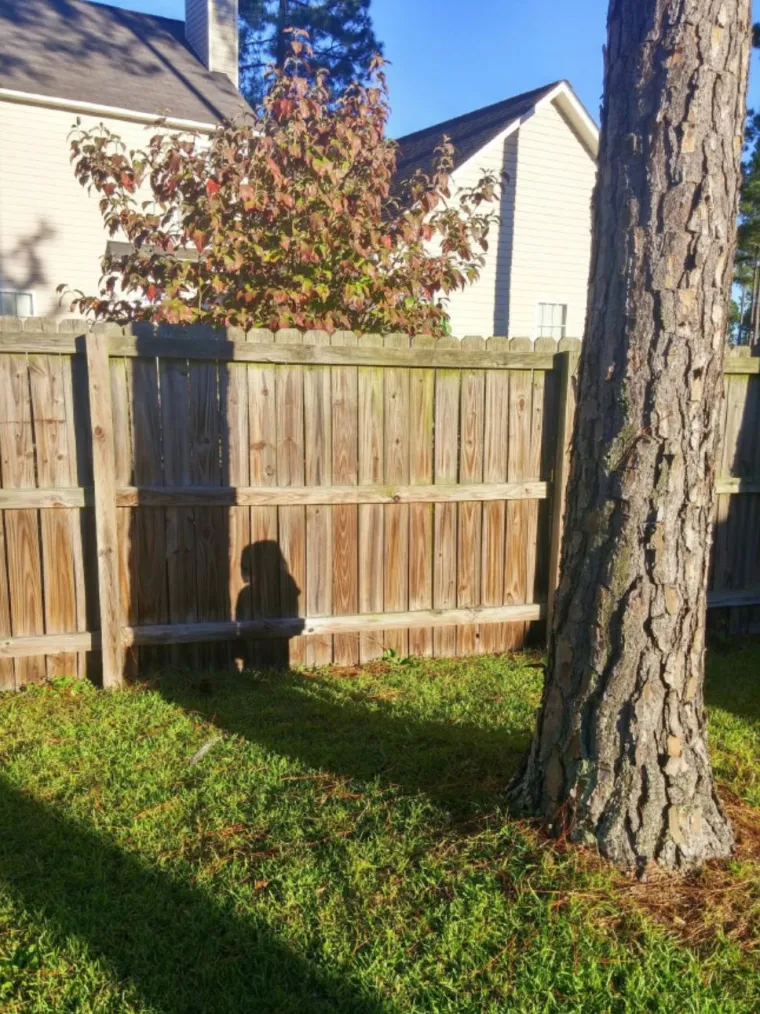 &uml;Prekrit ću se ovom prozirnom kutijom, mama me neće nikad nać!&uml;: 25 slika igre skrivača gdje sudionici ba&scaron; i ne kuže pravila