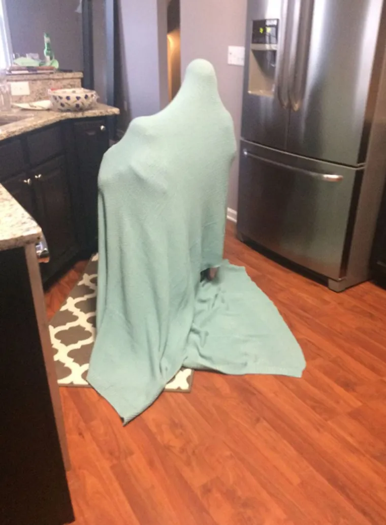 &uml;Prekrit ću se ovom prozirnom kutijom, mama me neće nikad nać!&uml;: 25 slika igre skrivača gdje sudionici ba&scaron; i ne kuže pravila