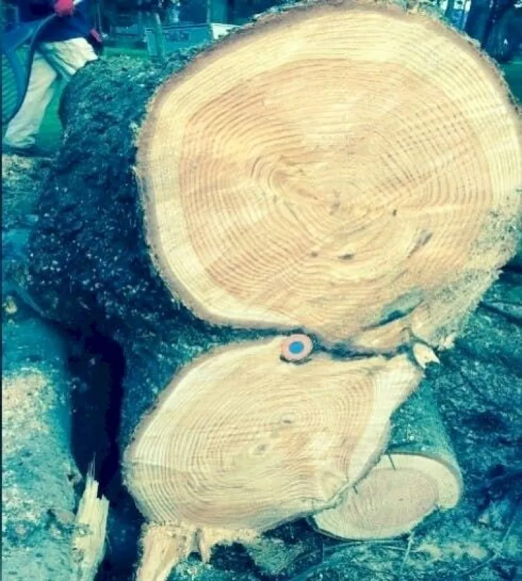 Izgubljena loptica golfa, prije mnogo godina