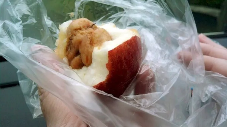 Mutirana jabuka raste unutar druge jabuke